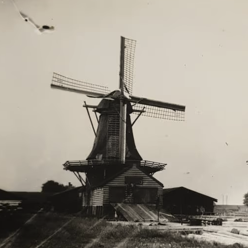 Scherm­afbeelding%202024 11 20%20om%2019.59.16